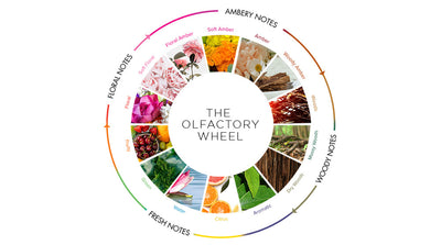 The Olfactory Wheel